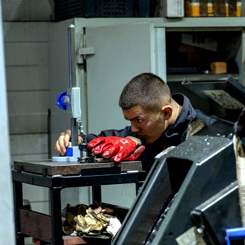 CNC marás